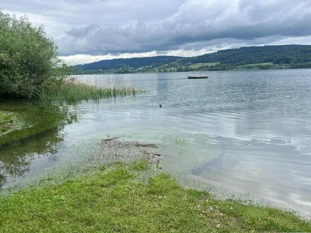 Das Ufer eines Sees, der zu viel Wasser hat.